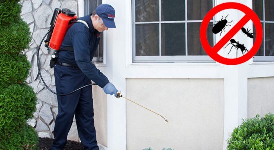 Köse Bit İlaçlama böcek ilaçlama ve haşere kontrolü — ilaclama-tr.com